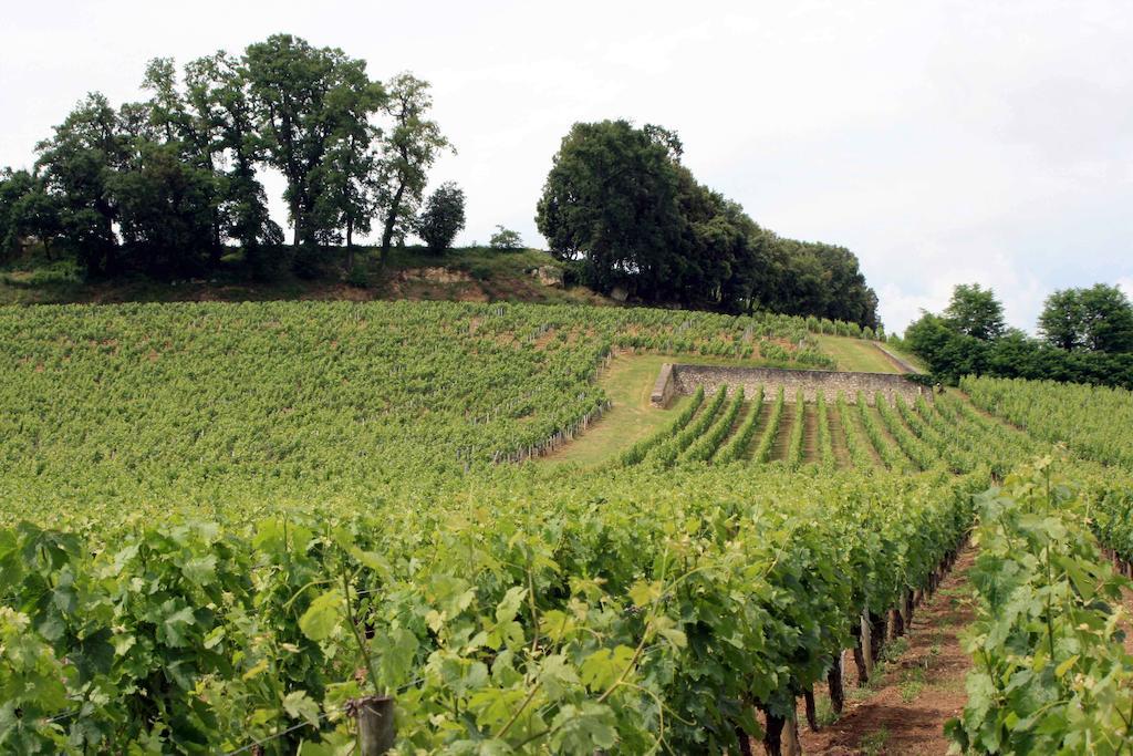 ליבורן La Residence Les Grands Vignobles חדר תמונה